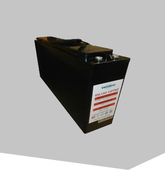 CTA_ES_Batterien_WING_ESL_FTHT